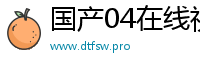 国产04在线视频